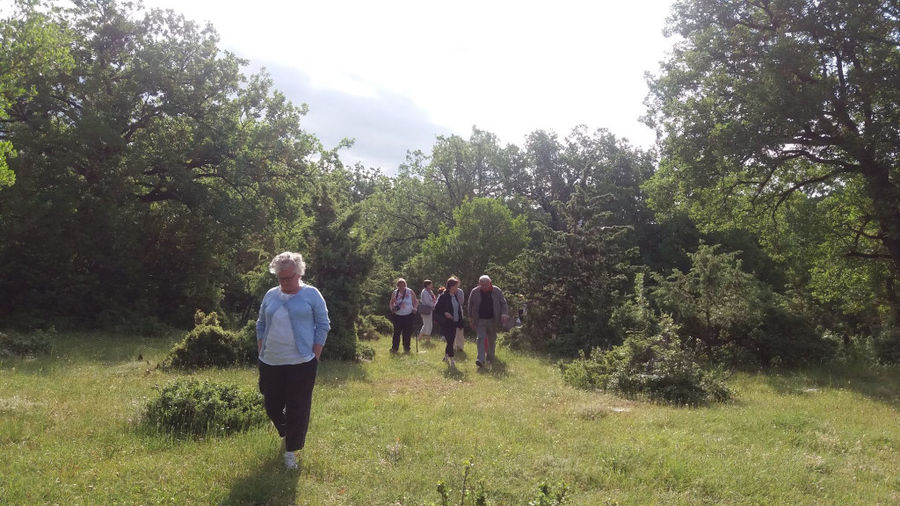 29 natural history museum meteora mushroom museum.jpg